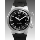 IWCIW354807コピー