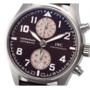 IWCIW387806コピー