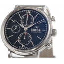 IWCIW391006コピー