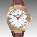 IWCIW500503コピー